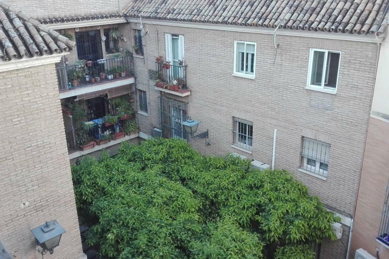 Alfalfa Home Севилья Экстерьер фото